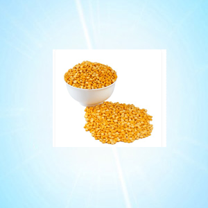 CHANA DAL 250GRM