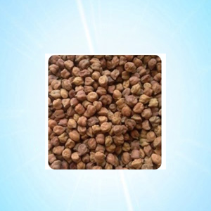 RED HARBARA 250 GRM