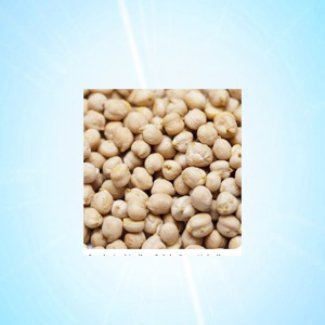 KABULI CHANA 250 GRM