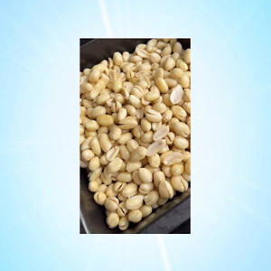 PEANUT 500 GRM