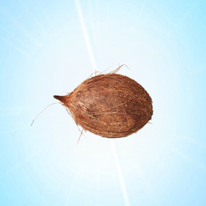 COCONUT