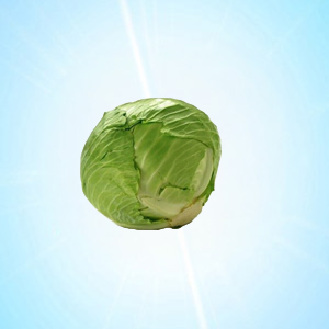 CABBAGE